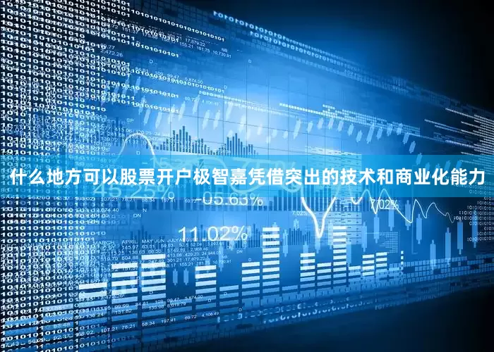 什么地方可以股票开户极智嘉凭借突出的技术和商业化能力
